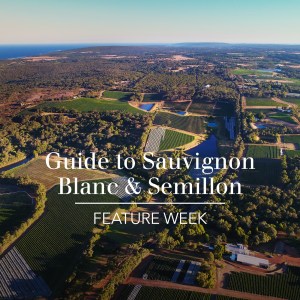 Aussie savvy versus Kiwi