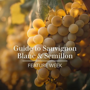 Sauvignon blanc vs semillon: what sets them apart?